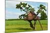 Beautiful Creative Tree House-Rony Zmiri-Mounted Photographic Print