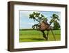 Beautiful Creative Tree House-Rony Zmiri-Framed Photographic Print