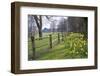 Beautiful Daffodil Covered Walkway through Forest Scene-Veneratio-Framed Photographic Print