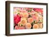Beautiful Dahlia Flowers for Sale at Local Market-Anna Hoychuk-Framed Photographic Print
