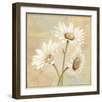 Beautiful Daisies II-Daphne Brissonnet-Framed Art Print