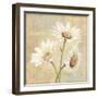 Beautiful Daisies II-Daphne Brissonnet-Framed Art Print