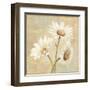 Beautiful Daisies II-Daphne Brissonnet-Framed Art Print