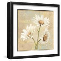 Beautiful Daisies II-Daphne Brissonnet-Framed Art Print