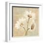 Beautiful Daisies II-Daphne Brissonnet-Framed Art Print