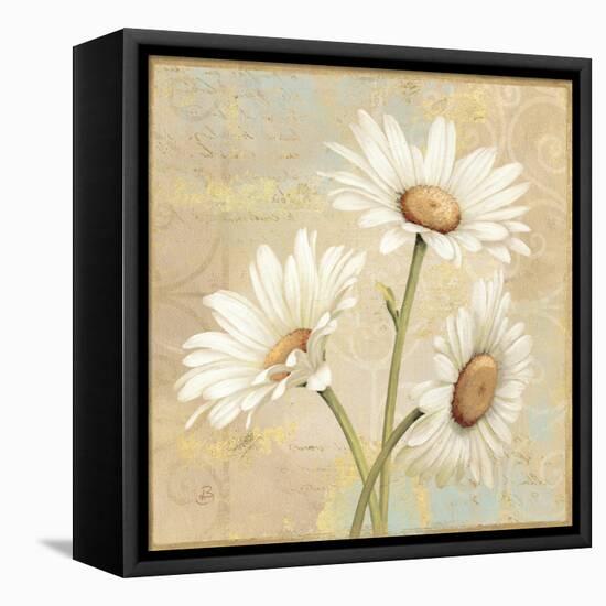 Beautiful Daisies II-Daphne Brissonnet-Framed Stretched Canvas