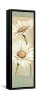 Beautiful Daisies II-Daphne Brissonnet-Framed Stretched Canvas