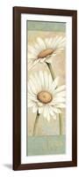 Beautiful Daisies II-Daphne Brissonnet-Framed Premium Giclee Print