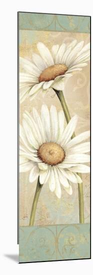 Beautiful Daisies II-Daphne Brissonnet-Mounted Premium Giclee Print