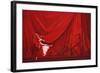 Beautiful Dancers 10-Mark Van Crombrugge-Framed Art Print