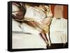 Beautiful Dancers 6-Mark Van Crombrugge-Framed Stretched Canvas