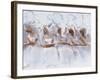 Beautiful Dancers 7-Mark Van Crombrugge-Framed Art Print