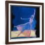 Beautiful Dancers 9-Mark Van Crombrugge-Framed Art Print