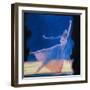 Beautiful Dancers 9-Mark Van Crombrugge-Framed Art Print