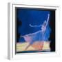 Beautiful Dancers 9-Mark Van Crombrugge-Framed Art Print