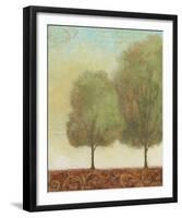 Beautiful Day II-John Zaccheo-Framed Art Print