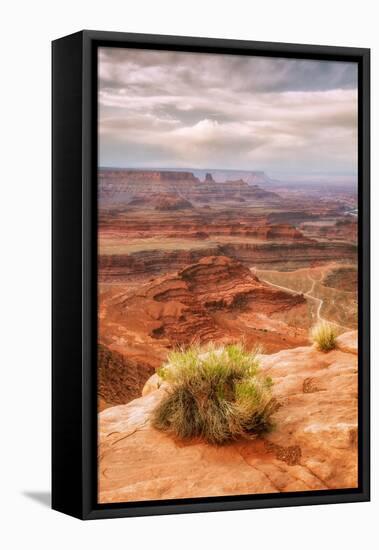 Beautiful Dead Horse Point-Vincent James-Framed Stretched Canvas