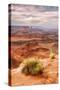 Beautiful Dead Horse Point-Vincent James-Stretched Canvas