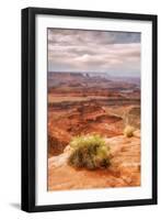Beautiful Dead Horse Point-Vincent James-Framed Photographic Print