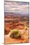 Beautiful Dead Horse Point-Vincent James-Mounted Photographic Print