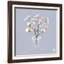 Beautiful Decoration with Winter Bouquet of Flowers, Pastel Colors and Ribbon-Tsvetomira Yanakieva-Framed Art Print