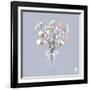 Beautiful Decoration with Winter Bouquet of Flowers, Pastel Colors and Ribbon-Tsvetomira Yanakieva-Framed Art Print