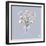 Beautiful Decoration with Winter Bouquet of Flowers, Pastel Colors and Ribbon-Tsvetomira Yanakieva-Framed Art Print