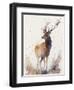 Beautiful Deer-Lana Kristiansen-Framed Art Print