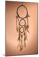 Beautiful Dream Catcher On Brown Background-null-Mounted Poster