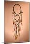 Beautiful Dream Catcher On Brown Background-null-Mounted Poster