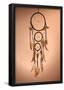 Beautiful Dream Catcher On Brown Background-null-Framed Poster