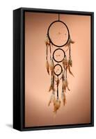 Beautiful Dream Catcher On Brown Background-Yastremska-Framed Stretched Canvas