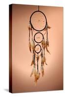 Beautiful Dream Catcher On Brown Background-Yastremska-Stretched Canvas