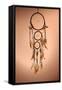 Beautiful Dream Catcher On Brown Background-Yastremska-Framed Stretched Canvas