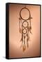 Beautiful Dream Catcher On Brown Background-Yastremska-Framed Stretched Canvas