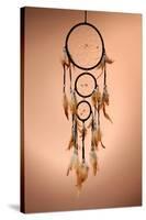 Beautiful Dream Catcher On Brown Background-Yastremska-Stretched Canvas
