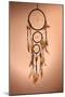 Beautiful Dream Catcher On Brown Background-Yastremska-Mounted Art Print