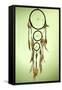 Beautiful Dream Catcher On Green Background-Yastremska-Framed Stretched Canvas