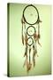 Beautiful Dream Catcher On Green Background-Yastremska-Stretched Canvas