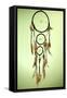 Beautiful Dream Catcher On Green Background-Yastremska-Framed Stretched Canvas