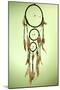 Beautiful Dream Catcher On Green Background-Yastremska-Mounted Art Print