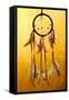 Beautiful Dream Catcher On Yellow Background With Lights-Yastremska-Framed Stretched Canvas