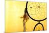 Beautiful Dream Catcher On Yellow Background-Yastremska-Mounted Art Print
