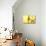 Beautiful Dream Catcher On Yellow Background-Yastremska-Stretched Canvas displayed on a wall