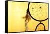 Beautiful Dream Catcher On Yellow Background-Yastremska-Framed Stretched Canvas
