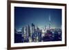 Beautiful Dubai Cityscape, Bird's Eye View on a Night Urban Scene, Modern City Panoramic Landscape,-Anna Om-Framed Photographic Print