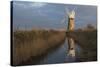 Beautiful early light on St. Benet's Mill, Norfolk, England, United Kingdom, Europe-Jon Gibbs-Stretched Canvas