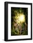 Beautiful Enchanting Forest Opening Path Leading to a Bright Light-ratpack223-Framed Photographic Print