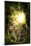 Beautiful Enchanting Forest Opening Path Leading to a Bright Light-ratpack223-Mounted Photographic Print