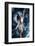 Beautiful Fantasy Fairy Woman Caught in Spider Net-coka-Framed Photographic Print